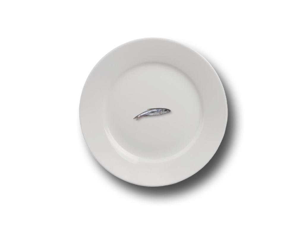 Fish in a plate